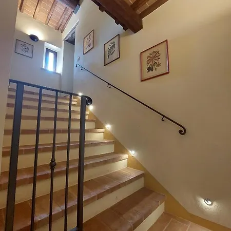 Fattoria